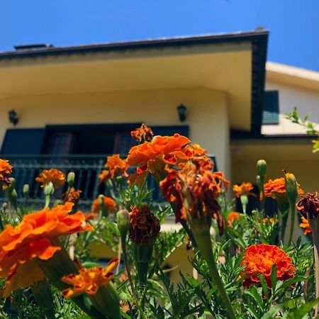 Villa Casa Sao Simao Barcelos Exterior foto
